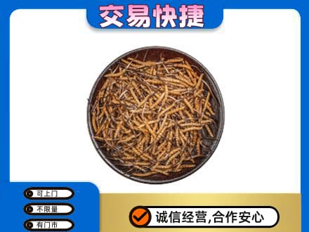 福州高价回收散虫草